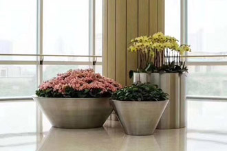 �����̻�ֲ������